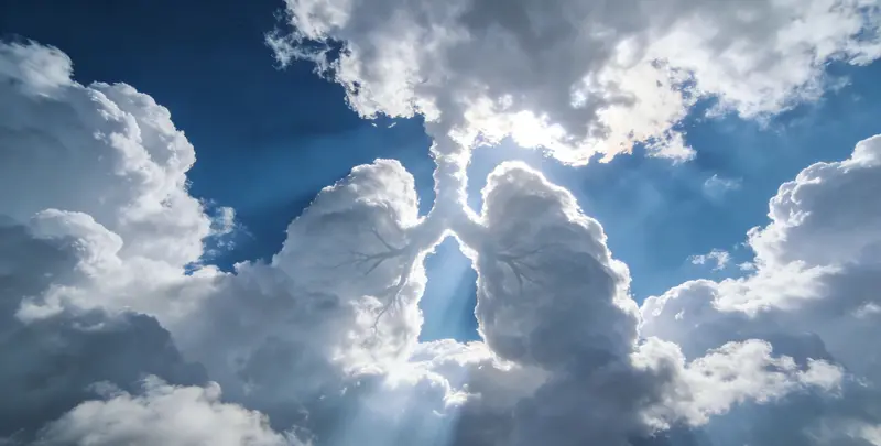 株洲肺癌靶向120基因检测及PDL122C3表达检测套餐（组织）图片1