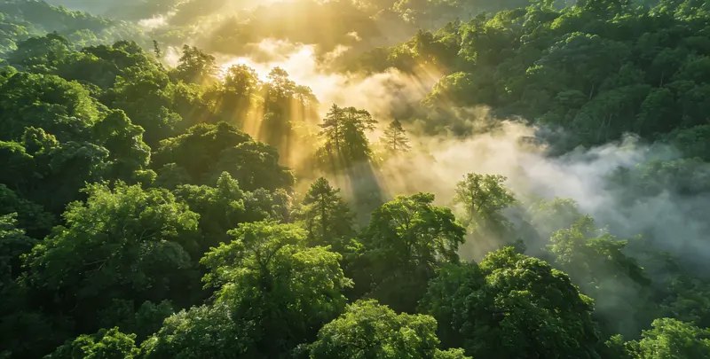 株洲肺癌8基因突变检测（组织）图片1